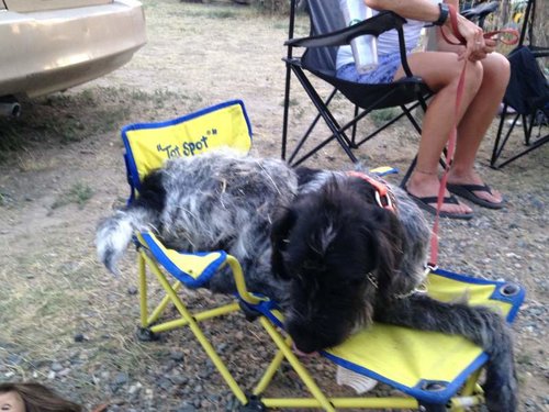 IMG_0580.jpg IMG_0580.jpg