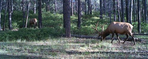 HUNT0047_zpsdtjejisf.jpg