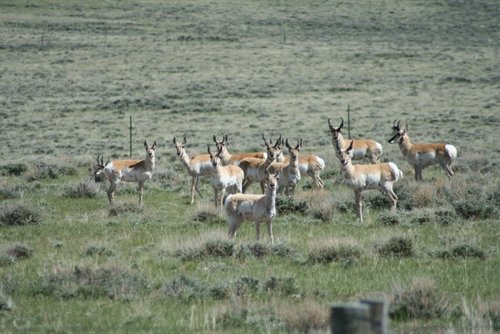 IMG_0086 (800x533).jpg IMG_0086 (800x533).jpg