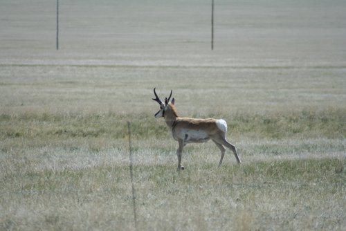 IMG_0077 (800x533).jpg IMG_0077 (800x533).jpg