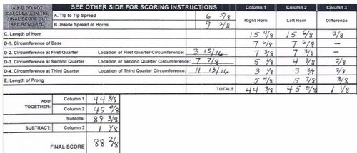 Screen Shot 2017-08-16 at 9.44.50 AM.jpg