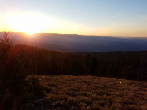 20170820_070348.jpg 20170820_070348.jpg