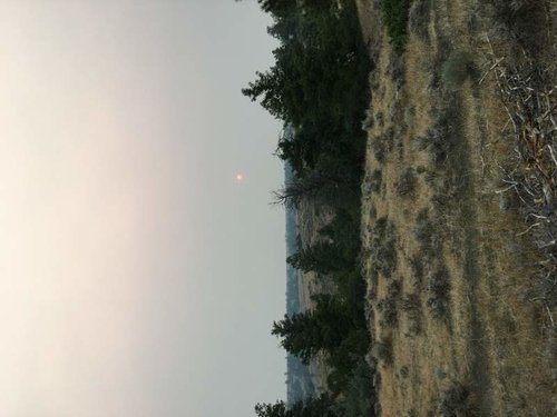 IMG_2360.jpg IMG_2360.jpg