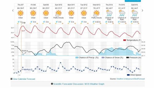 forecast.jpg