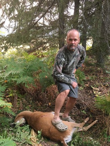 Deer in Crocs.jpg