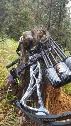 20170914_090944.jpg 20170914_090944.jpg