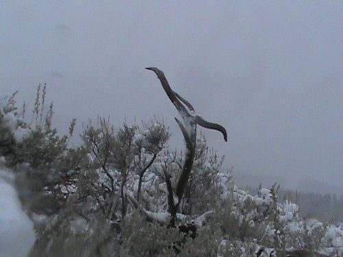 DSC00002.JPG DSC00002.JPG