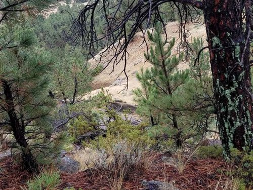 Looking down the hill.jpg Looking down the hill.jpg
