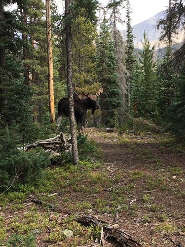 IMG_0588.JPG IMG_0588.JPG