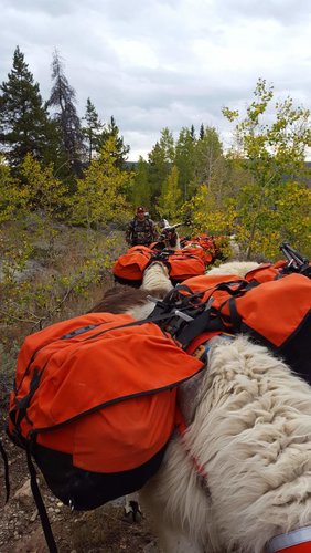 20170918_172124[1].jpg