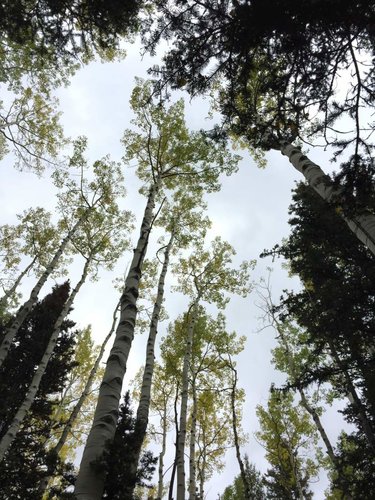 view up.jpg view up.jpg