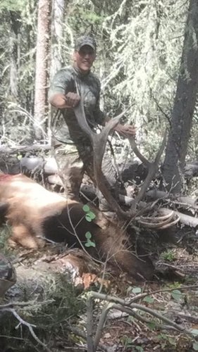 mebull.jpg mebull.jpg