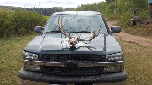 barbed buck.jpg barbed buck.jpg