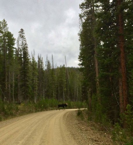 FullSizeRender (24).jpg FullSizeRender (24).jpg