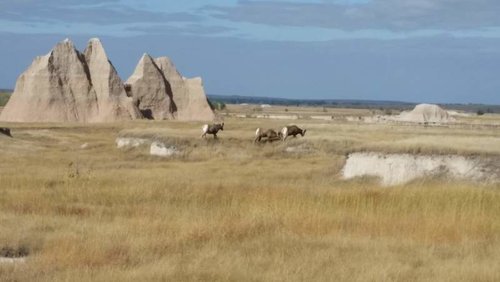 20170922_153030.jpg 20170922_153030.jpg
