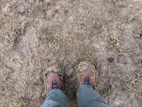 IMG_0943.jpg IMG_0943.jpg