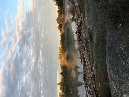 IMG_0681.jpg IMG_0681.jpg