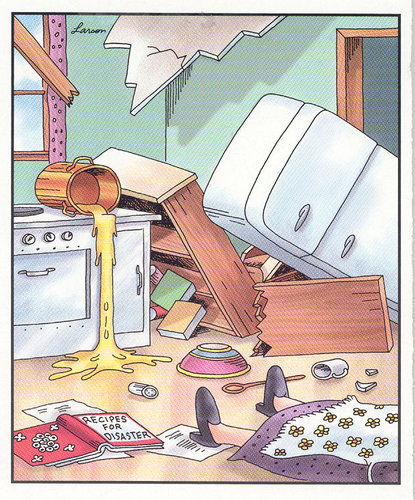 Disaster Cartoon - Larsen.jpg