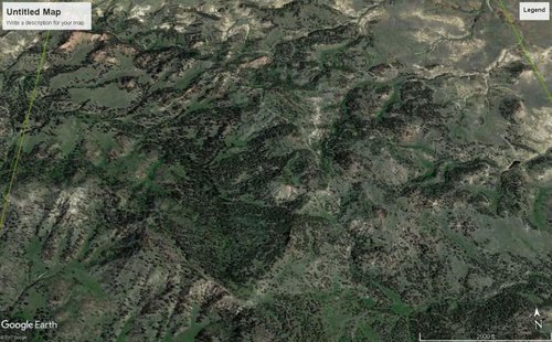 trees.jpg trees.jpg