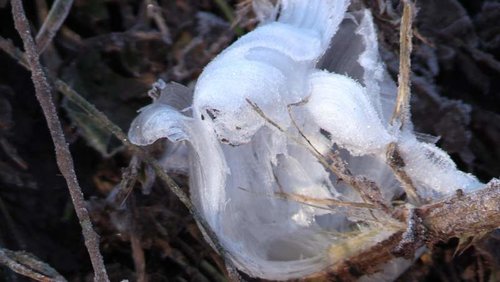 frost.jpg frost.jpg