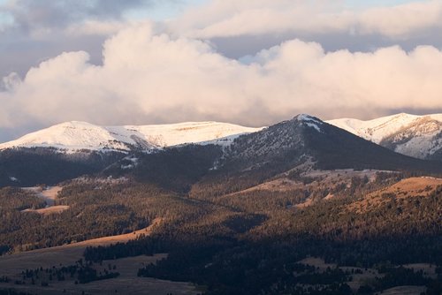 IMG_4867.jpg