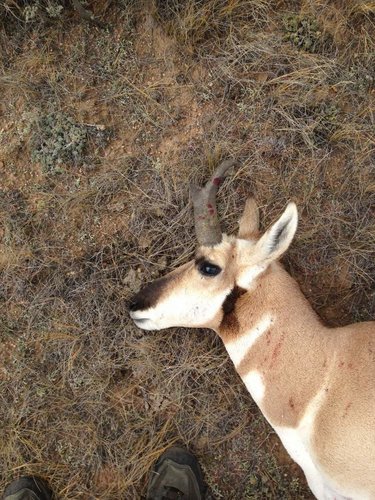 IMG_0004.jpg IMG_0004.jpg