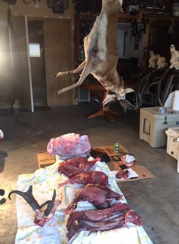 Carnage.JPG