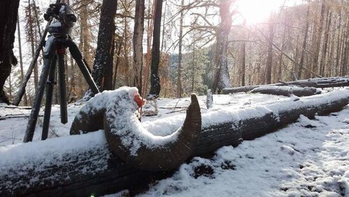snow.jpg snow.jpg