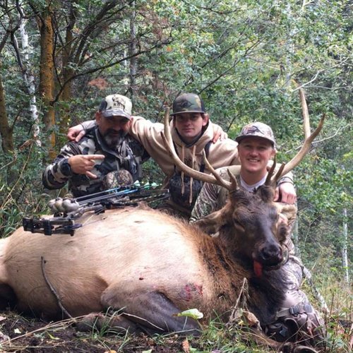 2017 Elk.jpg 2017 Elk.jpg