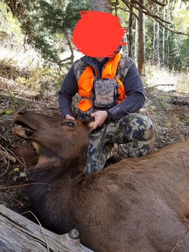 20171009_160223 copy.jpg 20171009_160223 copy.jpg