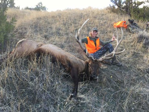 Hunter's 2017 Bull Elk 03.jpg Hunter's 2017 Bull Elk 03.jpg