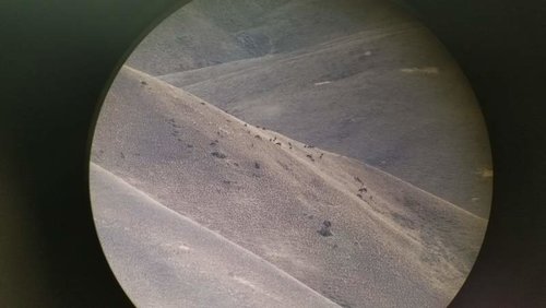 20171020_090607.jpg 20171020_090607.jpg