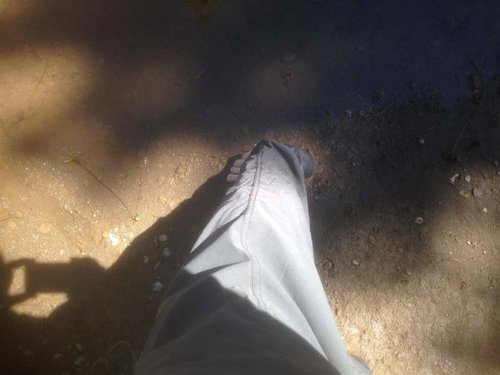 IMG_1915 (Large).jpg IMG_1915 (Large).jpg