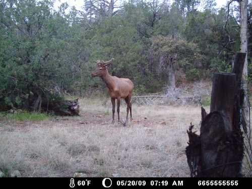 MDGC0028.jpg