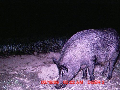 MDGC0013.JPG