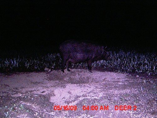 MDGC0052.JPG