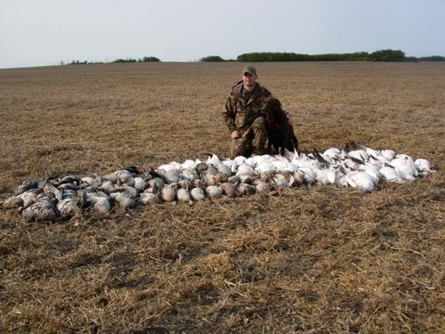 SK Goose Hunt2.jpg
