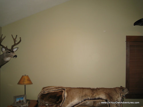 IMG_3727.JPG IMG_3727.JPG