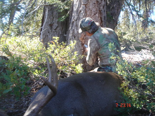 Deer hunt 2007 012.jpg