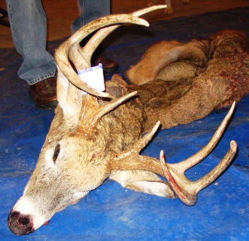 2008 Jason Deer.jpg