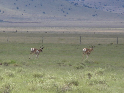 P1100561.JPG