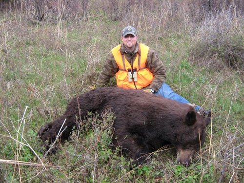 Mike Bear for int.jpg