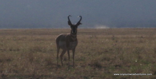 IMG_3996.JPG