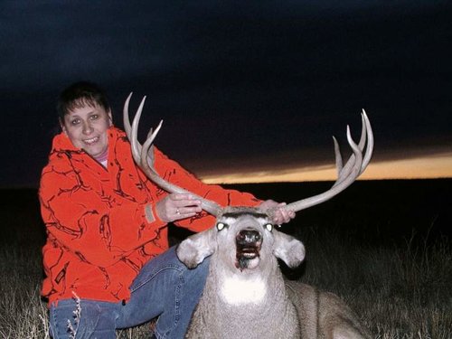 deer 062.jpg