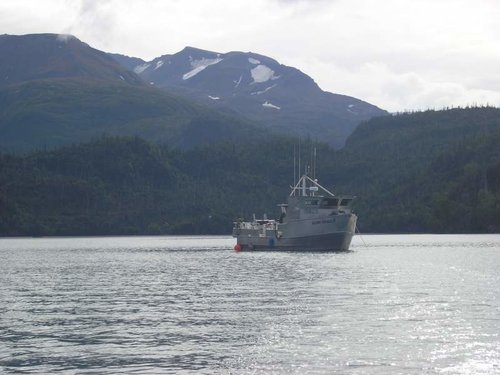 Duck Camp anchored in Bear Cove.jpg