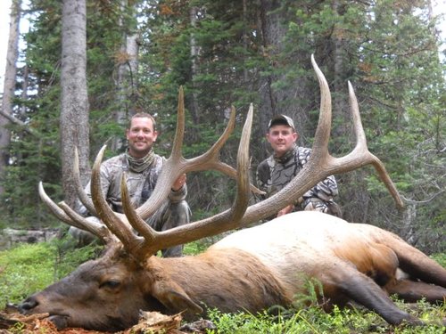 Colorado Elk.JPG