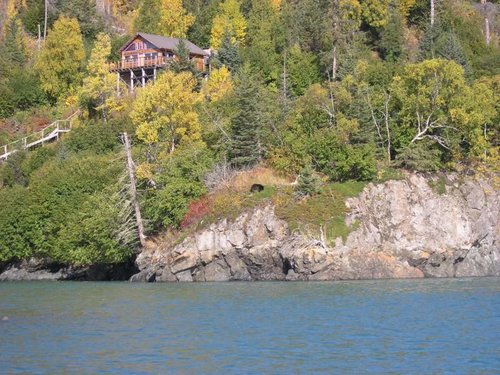 Black Bear in just off Island.jpg