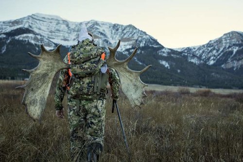 M_Parente_MTMoose_8.jpg M_Parente_MTMoose_8.jpg