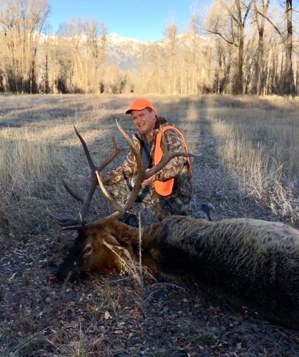 WY 78 Bull 2017.jpg WY 78 Bull 2017.jpg