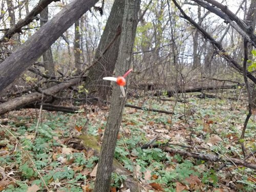 20171029_110358.jpg 20171029_110358.jpg